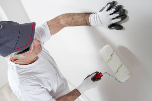 Reliable Southwest Greensburg, PA Mold Removal Solutions