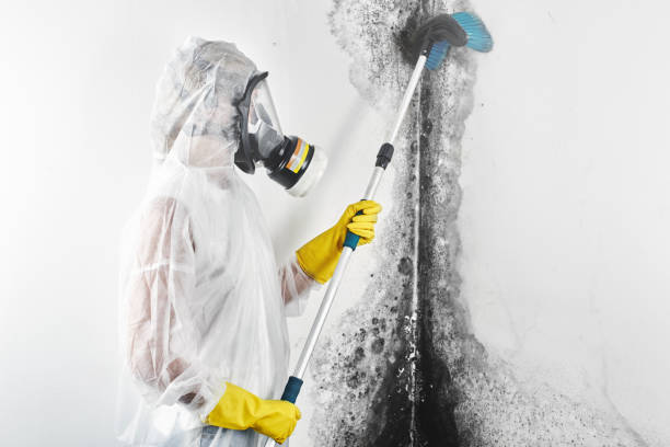Best Environmental Consulting for Mold Prevention  in Southwest Greensburg, PA