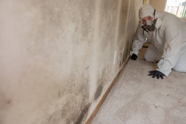 Best Industrial Mold Remediation  in Southwest Greensburg, PA