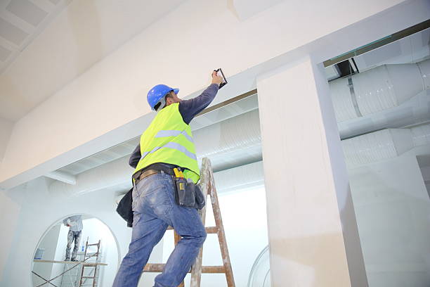 Best Basement Mold Removal  in Southwest Greensburg, PA