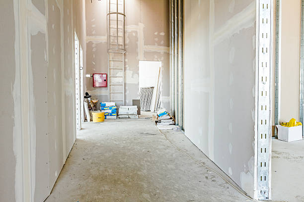 Best Attic Mold Removal  in Southwest Greensburg, PA